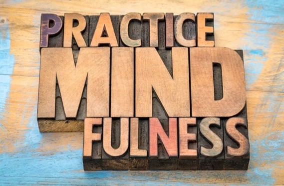 Navigating Life’s Wild Turns with Mindfulness and Humor