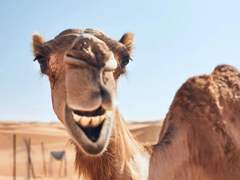 A New Perspective Beyond ‘Hump Day’